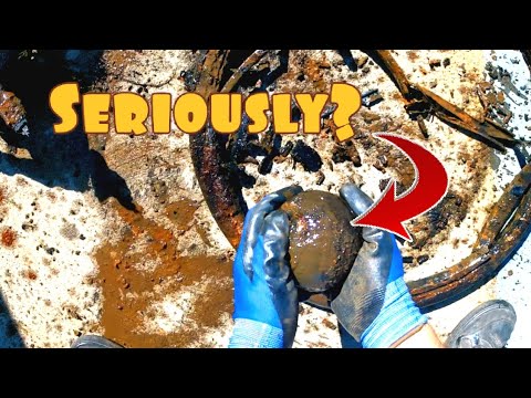 Nobody would EVER believe me what happened AGAIN magnet fishing!