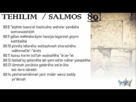 Salmos  Tehilim 80