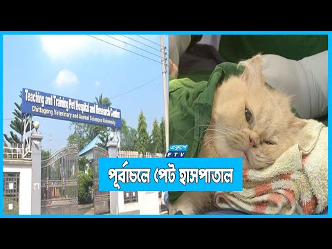 পূর্বাচলে নিভৃতে সেবা দিয়ে যাচ্ছে পেট হাসপাতাল