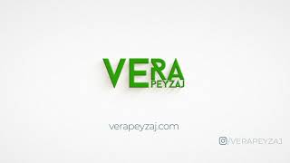 Vera Peyzaj