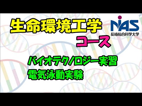 長崎総合科学大学　総合情報学部総合情報学科　生命環境工学コースの授業風景