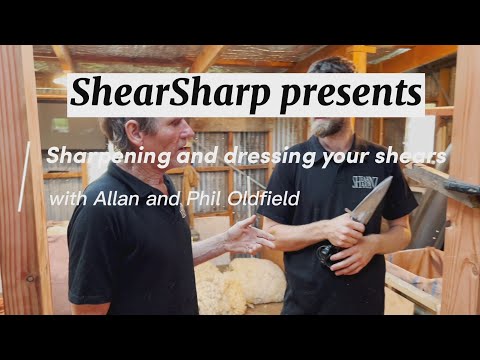 Part of a video titled Sharpening and Dressing Blade Shears - with ShearSharp NZ