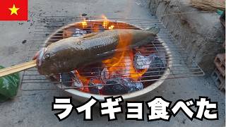 【Vlog】ベトナムの田舎に移住した30歳無職の1日。ライギョは美味しい？