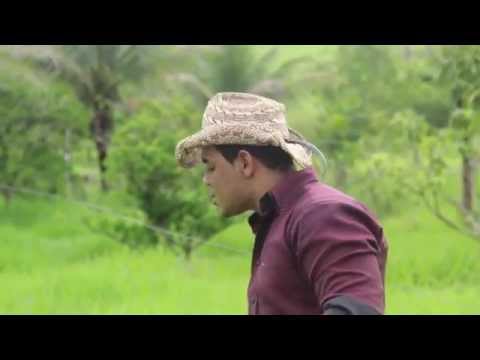 Mulher Você Tem o Dom - Banda Styllo de Vaqueiro