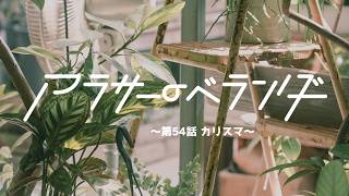 ネットラジオ　アラサーのベランダ【第54話】カリスマ