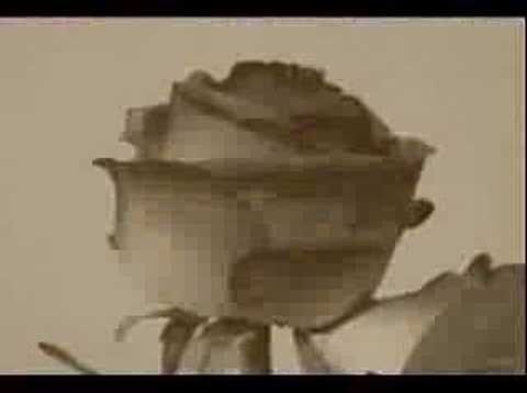 FEYZULLAH KOÇ ANA CAN KURBAN SANA