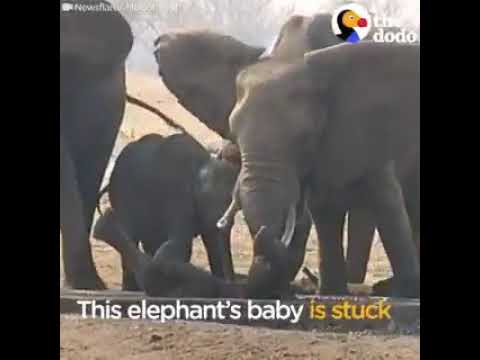 How they are doing(3)