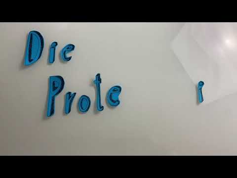 Die Proteinbiosynthese Einfach Erklärt für junge Cherry Tomaten!