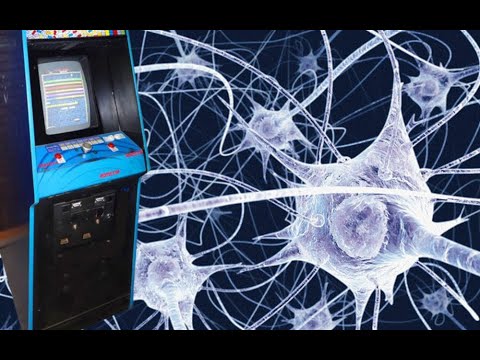 Lab-Grown Brain Cells Play Pong