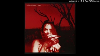 Widespread Panic - Hatfield (studio)