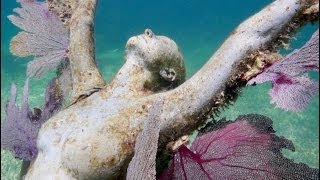 Angel Azul - San Francisco Green Film Festival