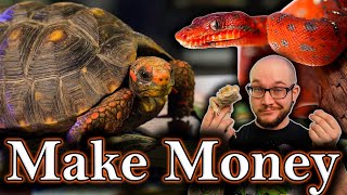 5 Ways To Make REAL MONEY With Reptiles | Not Chump Change, An Actual Career!