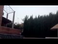 Bats Flying Over The Swimming Pool