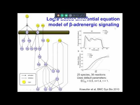 Dynamic Logic-Based Models Integrating Cardiac Signaling Networks and Cellular Phenotypes