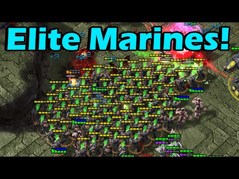 Should You Go Elite Marines Only? Zerg Wars SC2
