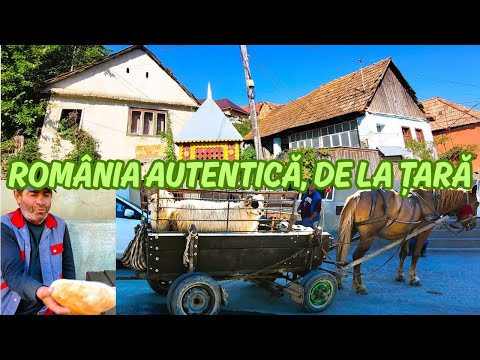 Viața văzută de la birtul satului! NU OCOLIȚI Cheile Întregalde, Vâltoarea Ighiel și Crama Țelna!