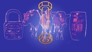 Alien Shore by Rush REMASTERED