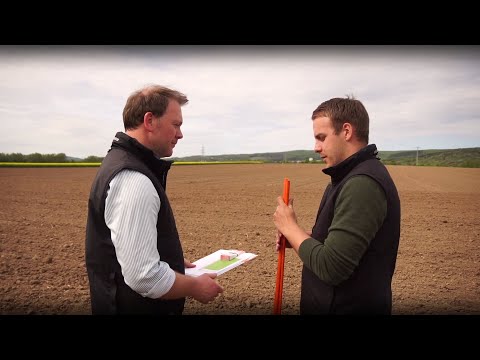 KWS Mais-Blog 2019 - Teil 1 (Vorstellung)