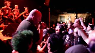 English Dogs - Survival of the Fittest LIVE Denver, CO [HD]
