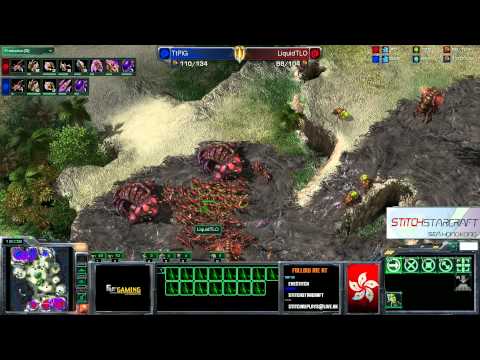 TtPiG vs LiquidTLO - ZvZ - KR Ladder - PiG vs World?
