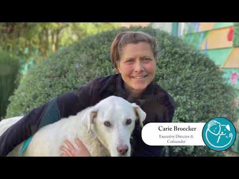 Second Chance- Carmel High School Film Festival Documentary Nominee