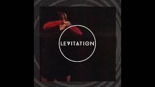 Adrian Younge Live at Levitation!