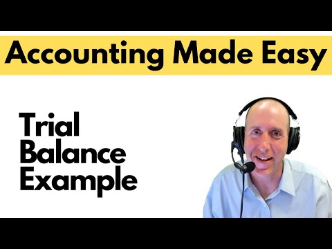 FA12 - The Trial Balance Example