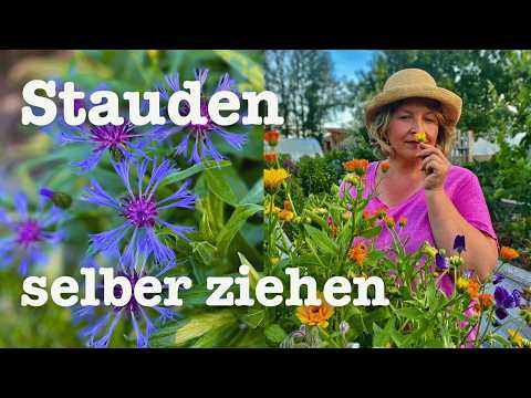 # 87 🐝 Grow your own perennials from seed 🐞 Create your own perennial beds 🦋 Perennials for insec...