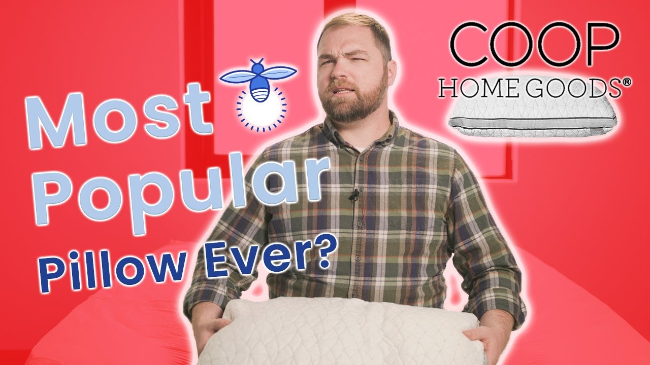 Coop Home Goods Eden Pillow Review | Best Pillow on Amazon? (2019)