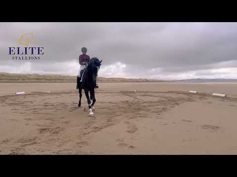 Introduction to Sezuan's Donnerhall