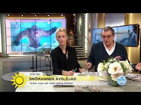 Snömannen avslöjad - Nyhetsmorgon (TV4)