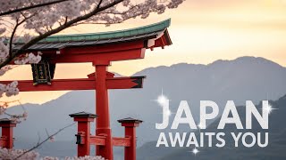 Torii Gates and Gigantic Buddhas in Japan! 자막 - 字幕 4K