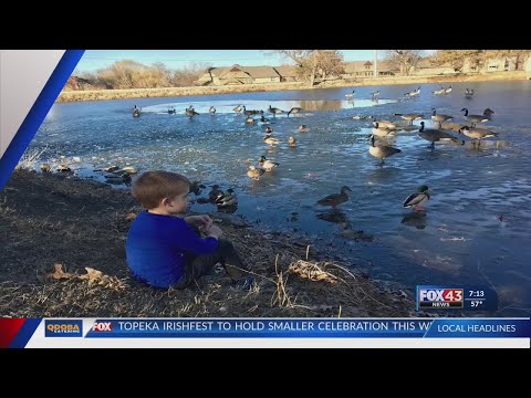 Pet Advice: Feeding geese