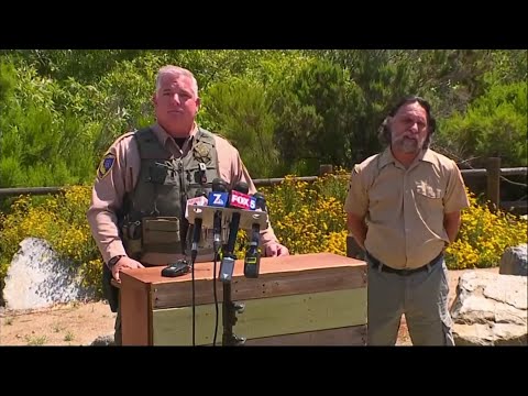 California wildlife officials say a mountain lion is likely the animal that attacked and injured a 4-year-old boy Monday in a wilderness park near San Diego. Officials say the mountain lion was later killed to ensure public safety. (May 28)