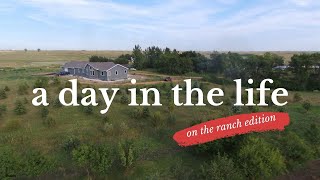 Welcome to our ranch! A day in the life - on the ranch edition...