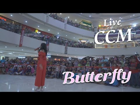 Calista Amadea - Butterfly Live at Cibinong City Mall