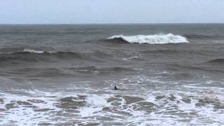 preview picture of video 'Surfers on the Outer Banks catch a wave in KDH'