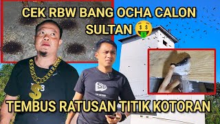 Download lagu LUAR BIASAA‼️CEK RBW BANG OCHA, CALON SULTAN. TEMBUS RATUSAN TITIK KOTORAN!! 😍 mp3 Download lagu LUAR BIASAA‼️CEK RBW BANG OCHA, CALON SULTAN. TEMBUS RATUSAN TITIK KOTORAN!! 😍 mp3