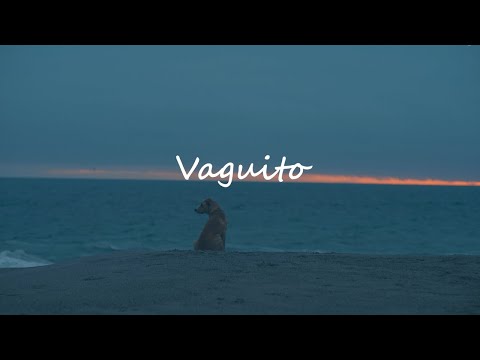 Vaguito – Canción Oficial | Flavia Pajuelo