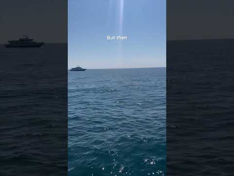 Vacay Vlogs EP - _ Whale watching in Cape May! #whale #whalewatch #capemay #vlog #sea #dolphin