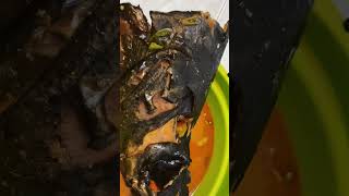 Download lagu Kepala Manyung Super Pedas 🔥🔥#shorts #short #shortvideo #food mp3