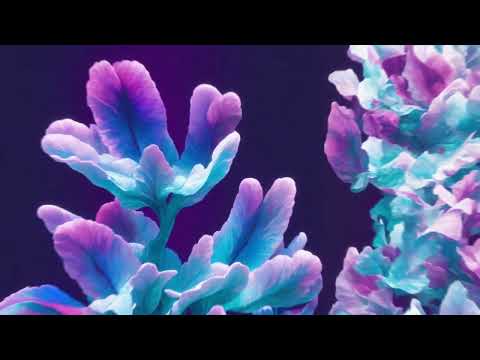 DXXDLY - Frenzy (Official audio)