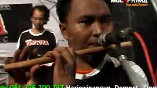 Download lagu Cubit Tak Mau Dicubit -  Nurma   PANTURA mp3