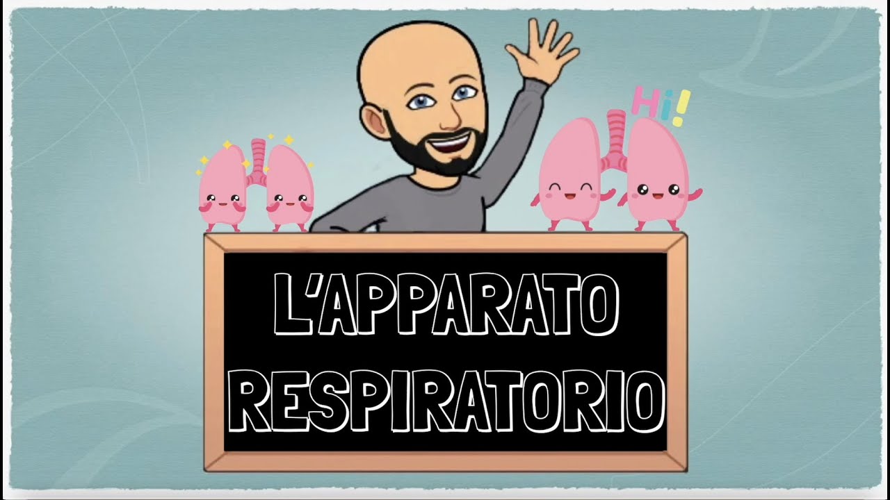 L' Apparato Respiratorio
