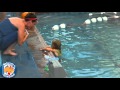 Watersafe Swim School Survival Test 10 8 15 SB With Sarah