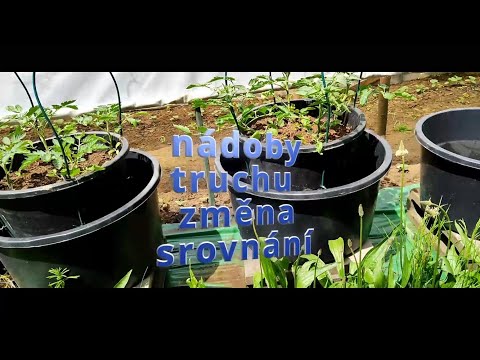 Samozavlažovací Truhlík z Maltovníku! 😱 VYLEPŠENÍ, aby FUNGOVAL. DIY Trik! 🌱