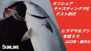 ソルティメイト フルコンタクト×8 | サンライン ソルティメイト フルコンタクト×8 | サンライン