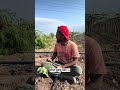 Comedy Videos Comedy Marathi Trending Funny Video Automobile Motivation Marathi