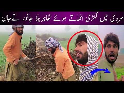 Lakri Uthaty Howy Zahreele Janwar Ny | ne ki duazehreela janwar katne ki duazehreela janwar