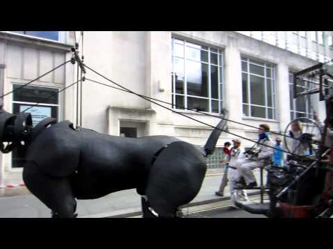 Sea Odyssey Giant Spectacular - Xylo the dog, Sunday Liverpool